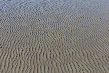 Sandy with ripples from wind