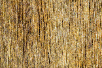 abstract texture of the surface of a wooden plank, close up wood