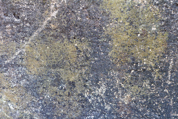 dirty wall texture color white