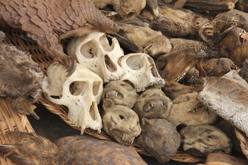 Voodoo paraphernalia, Monkey´s Skulls, Akodessawa Fetish Market, Lomé, Togo / This market is located in Lomé, the capital of Togo in West Africa and is is largest voodoo market in the world. 