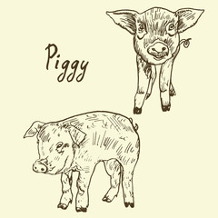 Funny piggy set, sketch in pop art style, black and white vector illustration