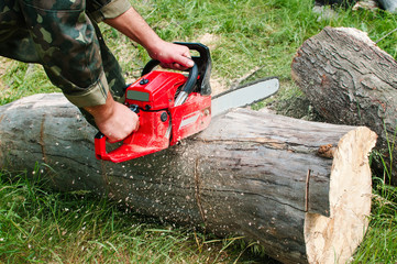 An employee with a chainsaw cuts a log.