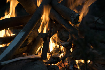 Wood Fire with hand heating 