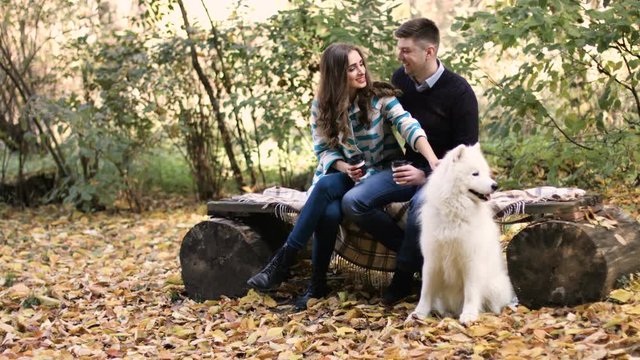 Beautiful white samoyed dog with family background in autumn park