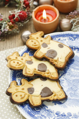 Funny cookies in cow shape decorated with dark and white chocolate icing.