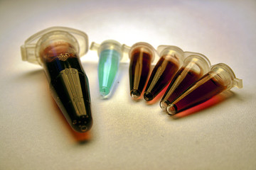 Stem Cell research Objects