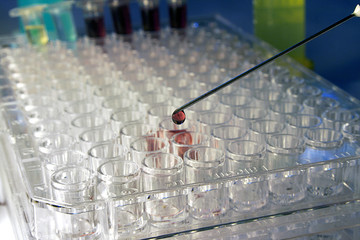 HIV / Anthrax Research PCR Plate with syringe needle and a drop of blood - obrazy, fototapety, plakaty