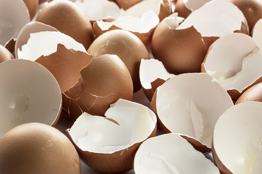 broken egg shells