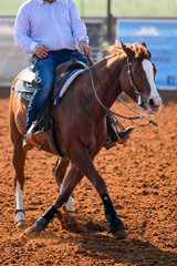 A front view of a western rider on horseback