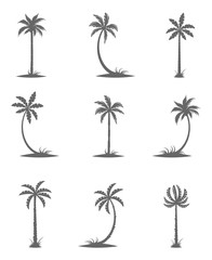 Fototapeta premium Black silhouettes of palm trees.