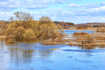 Flood on the river on a spring day