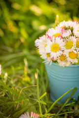 Bouquet with daisies and columbines