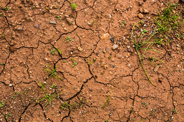 land with dry and cracked ground