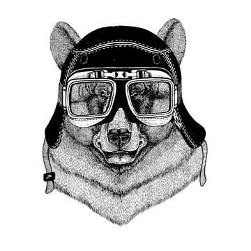 Vintage images of black Bear for t-shirt design for motorcycle, bike, motorbike, scooter club, aero club