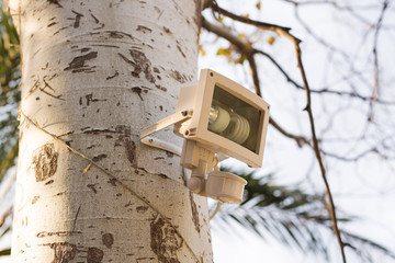 Street lamp on the tree