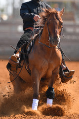 A front view of western rider sliding the horse in the dirt