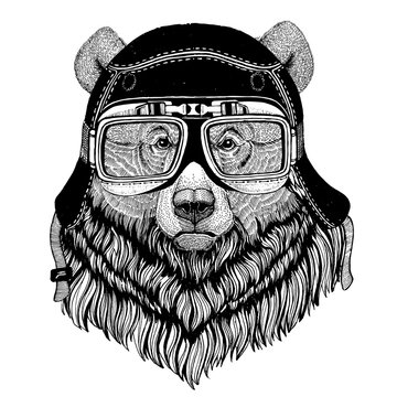 Vintage images of Grizzly bear for t-shirt design for motorcycle, bike, motorbike, scooter club, aero club