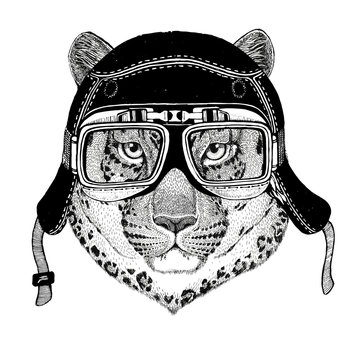 Vintage images of leopard for t-shirt design for motorcycle, bike, motorbike, scooter club, aero club