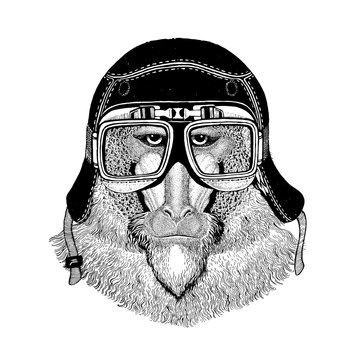 Vintage images of monkey for t-shirt design for motorcycle, bike, motorbike, scooter club, aero club