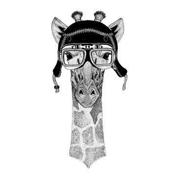 Vintage images of giraffe for t-shirt design for motorcycle, bike, motorbike, scooter club, aero club