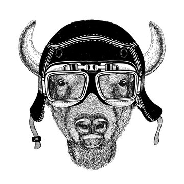 Vintage images of buffalo, bison, ox for t-shirt design for motorcycle, bike, motorbike, scooter club, aero club