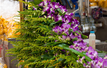 Fototapeta na wymiar Orchid street flower market thailand
