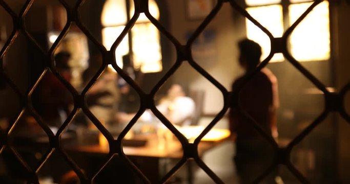 Metal Fence net