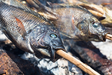 Fish Tilapia roasted at the stake