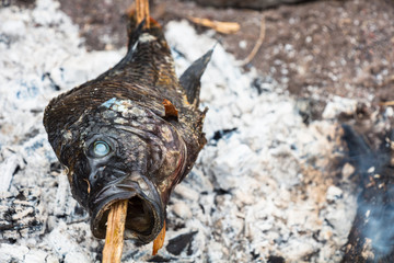 Fish Tilapia roasted at the stake