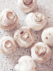 Fototapeta na wymiar Bunch of mushrooms on a kitchen countertop