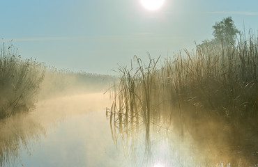 Nebliger Sonnenaufgang im Delta der Wolga, Russland