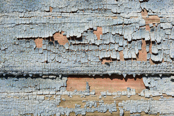 Old shabby flaky wooden board painted pale blue
