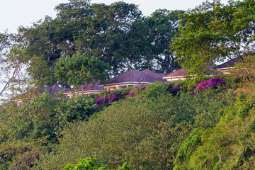 Hotel cottages with blossoming flowers on hill slope among plants growth. Victoria Nile River valley, Jinja, Uganda, Eastern Africa.
