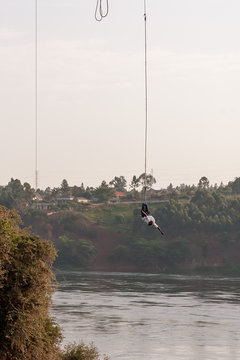 Man performs  bungee jump over Victoria Nile River. Jinja, Uganda.
