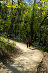 Fototapeta premium walk in the park