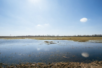 spring fields in a water.