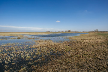 spring fields in a water.