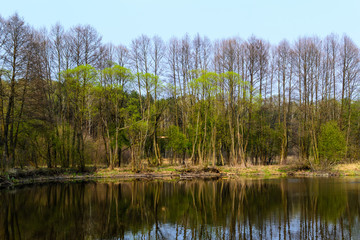 Rzeka w środkowej Polsce.