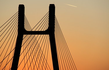 Fototapeta premium Everyday life on a perfect day