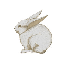 Cute rabbit isolated on white background. Easter. Sketch. Animals. Vector illustration. Hand Drawn. For print. For cards. For Web.