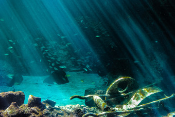 Underwater Sunbeams 