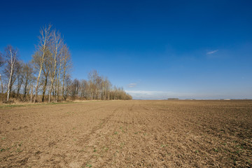 Ploughed field in spring prepared for sowing