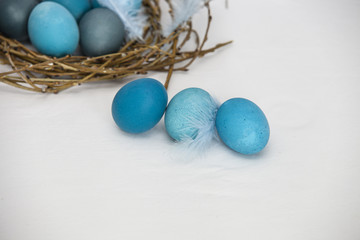 Fototapeta na wymiar Easter eggs dyed into various shades of blue and turquoise in an egg paper container on a white background with blue feather 