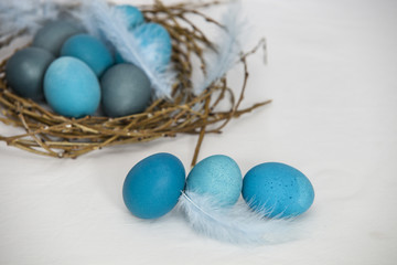 Easter eggs dyed into various shades of blue and turquoise in an egg paper container on a white background with blue feather 