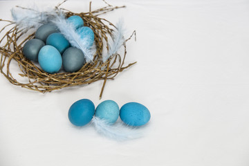 Fototapeta na wymiar Easter eggs dyed into various shades of blue and turquoise in an egg paper container on a white background with blue feather 