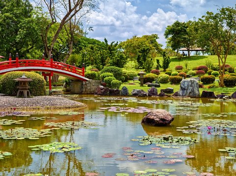 Japanese Garden with lake water lily and women silhouette on background