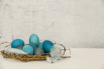 Easter eggs dyed into various shades of blue and turquoise in an egg paper container on a white background with blue feather 