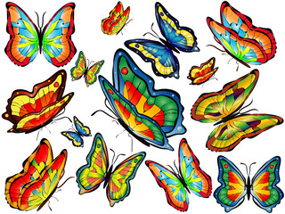 Fourteen multicolored butterflies