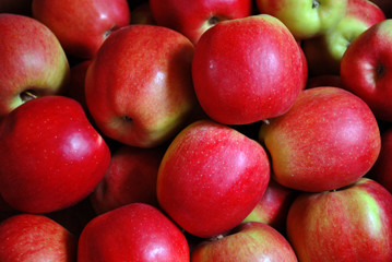 Fototapeta na wymiar Red apples.