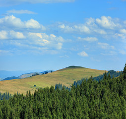 Summer Carpathian Mountains.